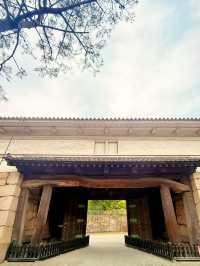 香川｜四百年丸龜城遺跡 最小的天守與日本最高的石垣
