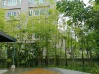 รีวิว โรงแรม Travelodge Nimman เชียงใหม่