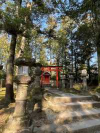 奈良｜春日大社的神鹿與浪漫 細數旗下神秘的壺神神社、拍子神社