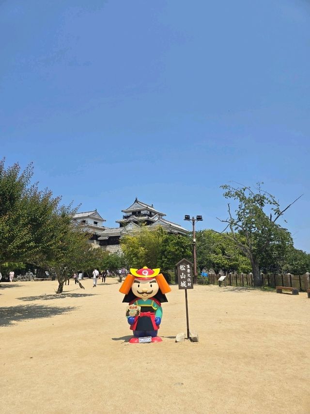 ✨ 일본 마쓰야마 여행기 ✨