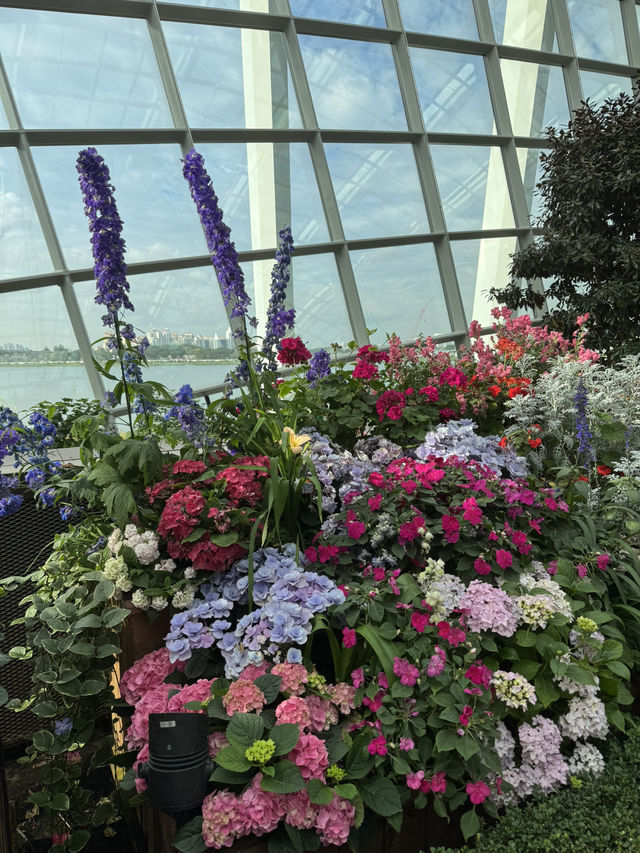 Flower Dome💐🌸🌺🌻