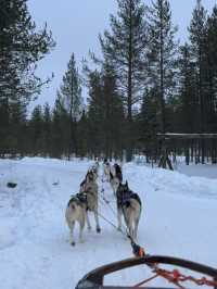 【フィンランド🇫🇮】サンタクロースに会える？！サンタクロースヴィレッジ🎅🏼