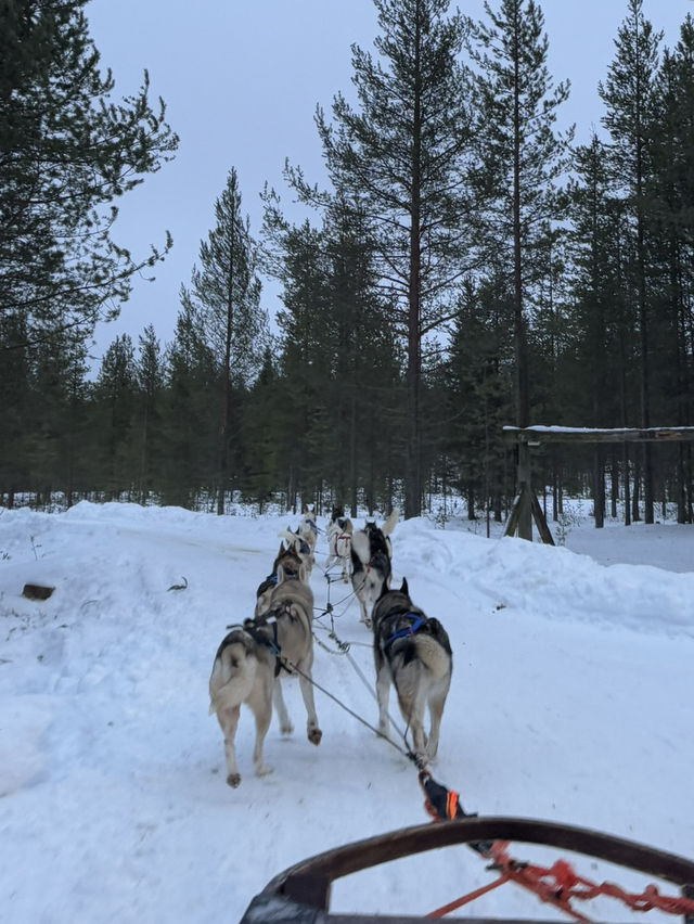 【フィンランド🇫🇮】サンタクロースに会える？！サンタクロースヴィレッジ🎅🏼