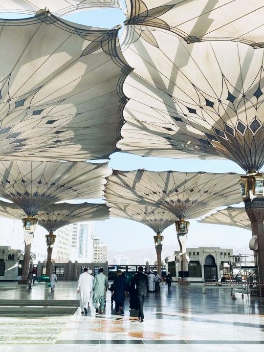 Touched by Tranquility: My First Steps in Masjid Nabawi 🕊️