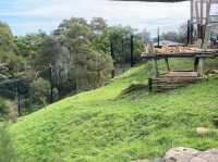 Taronga Zoo – Sydney, NSW