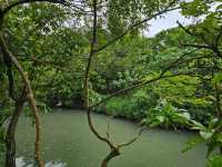 綠色旅遊好去處～冬山河綠舟