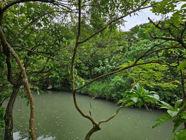 綠色旅遊好去處～冬山河綠舟