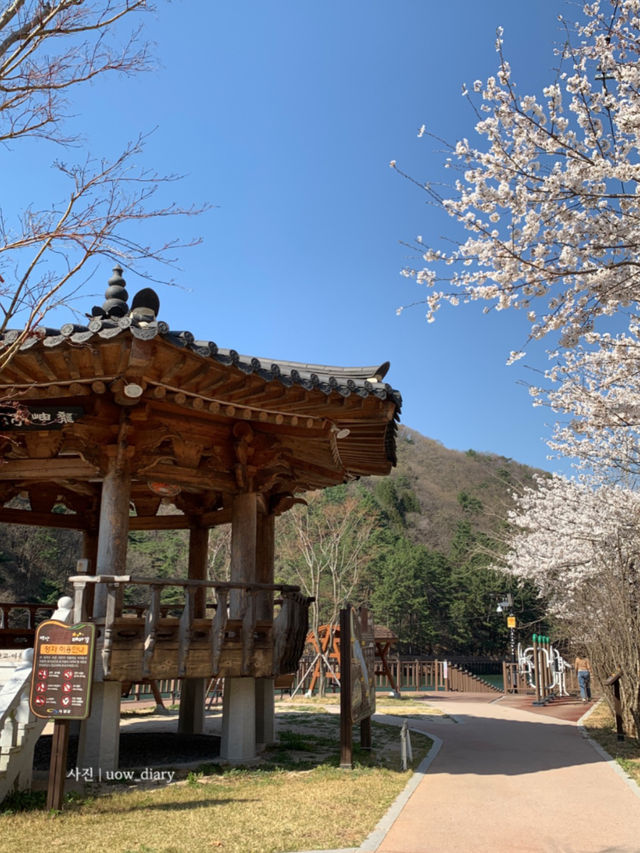 지금 가도 좋은, 기장 산책로 데이트 🚶🏻‍♀️🚶