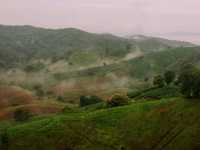 ขับรถเที่ยวหน้าฝน… ชมวิวถนนลอยฟ้า​ 