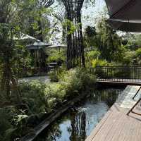 ZHIV COFF คาเฟ่กาแฟตุรกี RAYONG 