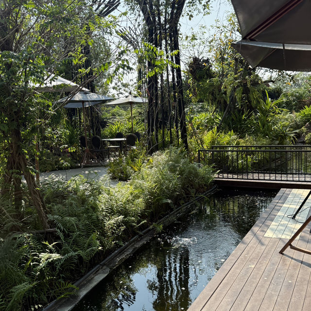ZHIV COFF คาเฟ่กาแฟตุรกี RAYONG 