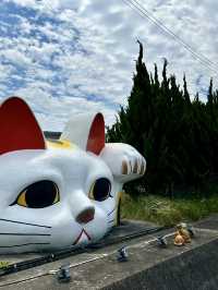 名古屋常滑招財貓