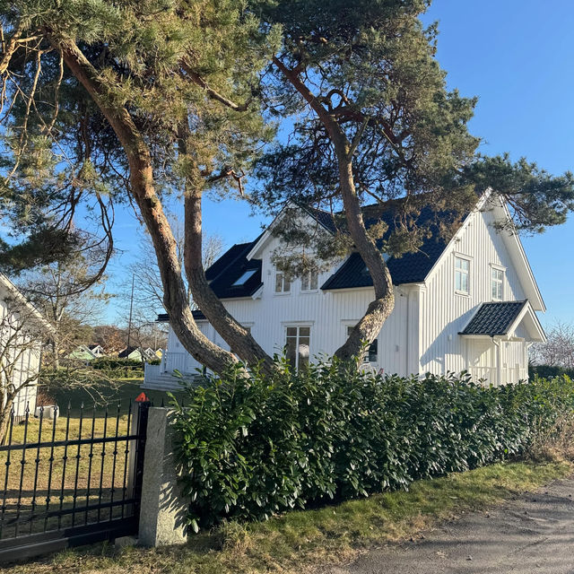Let's Catch the Breeze in Halmstad: A Hidden Gem on Sweden's West Coast! 🌬️🇸🇪