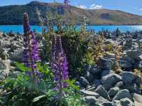 Lake Tekapo