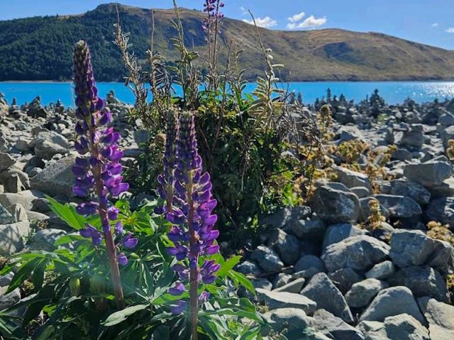 Lake Tekapo
