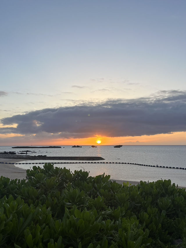 1泊2日の沖縄旅行が最高すぎた...