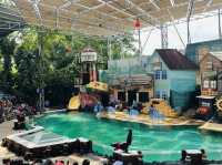 Don’t miss this in Bangkok: A day of thrills and unforgettable shows! 