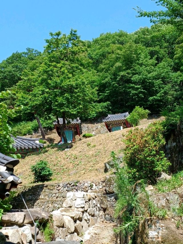 힐링+산책+감성사진까지 가능!