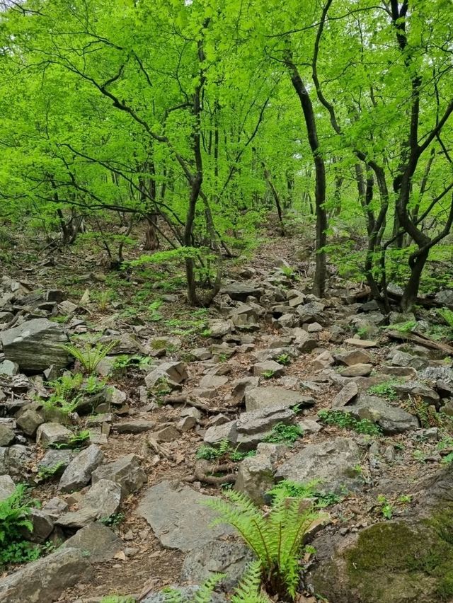 Temple Trails and Peaceful Peaks