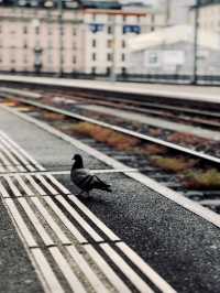 Stepping into Summer: Lauterbrunnen Station Views