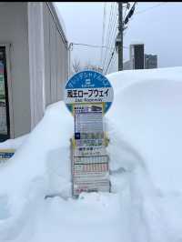 ❄️【山形・蔵王温泉＆樹氷】自然の神秘と温泉が待つ、極上の山旅
