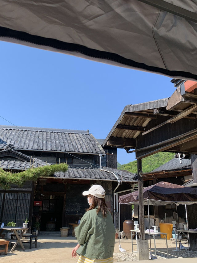 【香川🇯🇵】小豆島でお醤油ソフトクリーム🍦？！