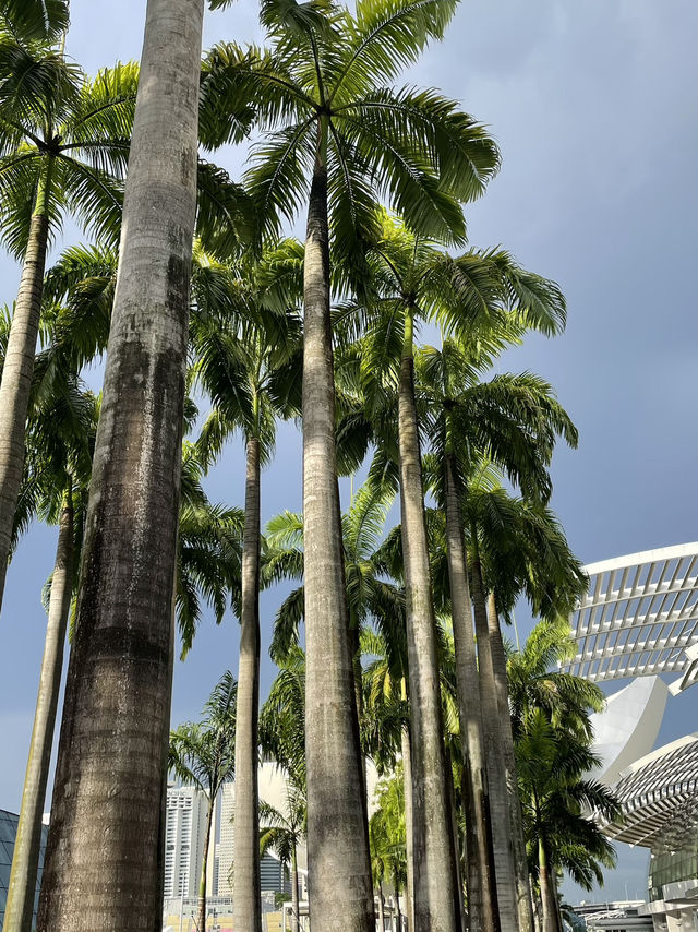 🌴 싱가포르 여행의 시작, 핵심 꿀팁 모음