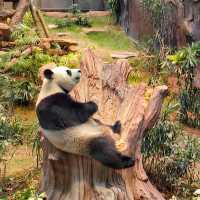 香港海洋公園