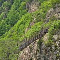 Nine Peaks, One Chill Adventure