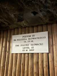 【ポーランド🇵🇱すべて岩塩でできた世界初の世界遺産】