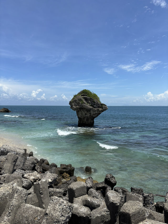 🐢小琉球探秘：海龜、珊瑚與慢活島嶼生活