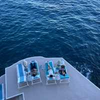 🍋🌊 The Amalfi Coast: A Dream Come True!