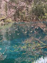 Where waterfalls sing and lakes mirror the sky: Discover Jiuzhaigou