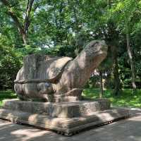 ⛰️ Nanjing Zhongshan Scenic Area – More Than Just 392 Steps 