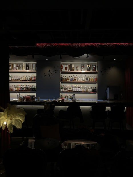 🍸 압구정 칵테일바 레드시네마 후기 🎬