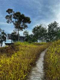Hiking to Penang’s Hidden Glass House — With a Durian Surprise 