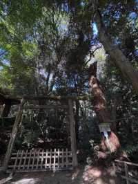縁結びの聖地へ🌿氣多大社で心を整える神社旅