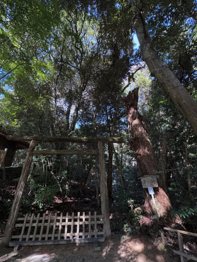 縁結びの聖地へ🌿氣多大社で心を整える神社旅