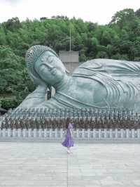 【福岡】圧巻の紫陽花を見たいならここ！