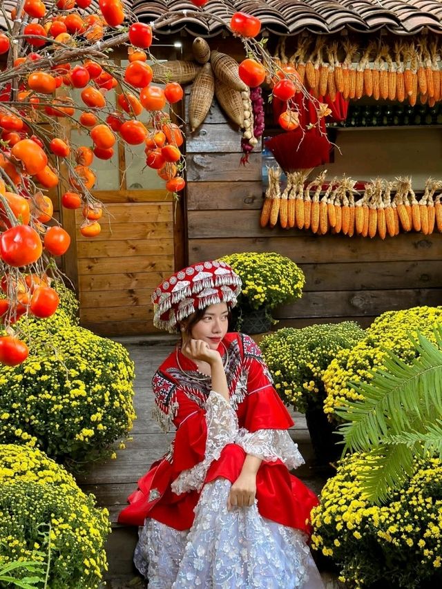 Tổ hợp Tây Bắc mùa xuân mới toanh vừa xuất hiện tại Sài Gòn