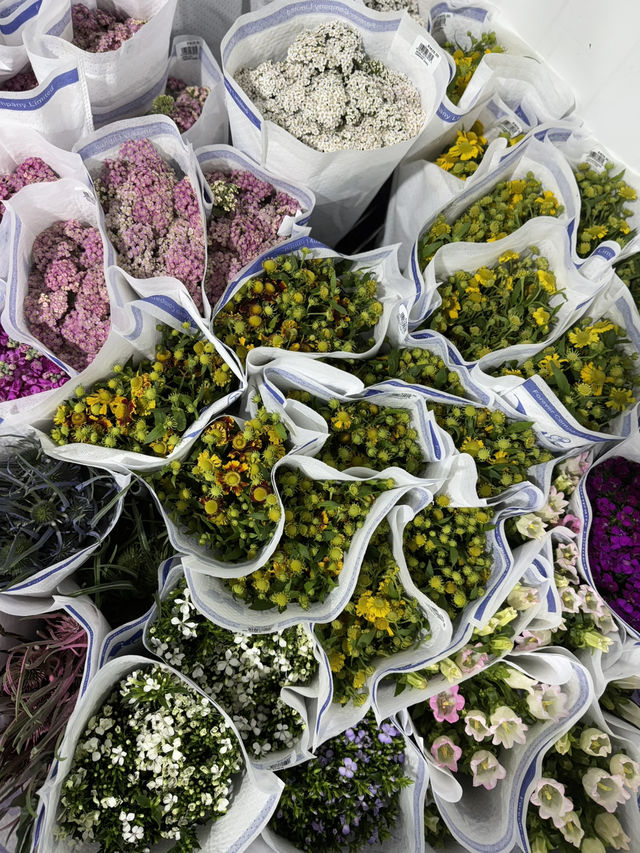 Hidden gem for flower lovers