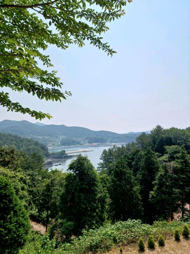 공룡 친구들과 놀며 배우는 현장 체험학습✨