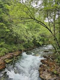 Ultimate Jiuzhaigou Valley Guide: China's Most Breathtaking UNESCO Paradise