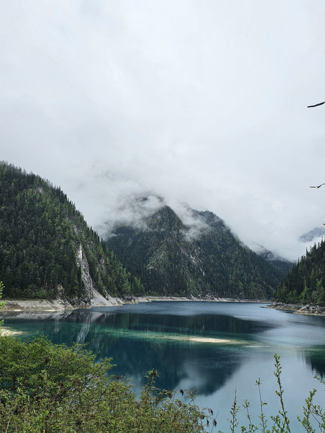 Ultimate Jiuzhaigou Valley Guide: China's Most Breathtaking UNESCO Paradise