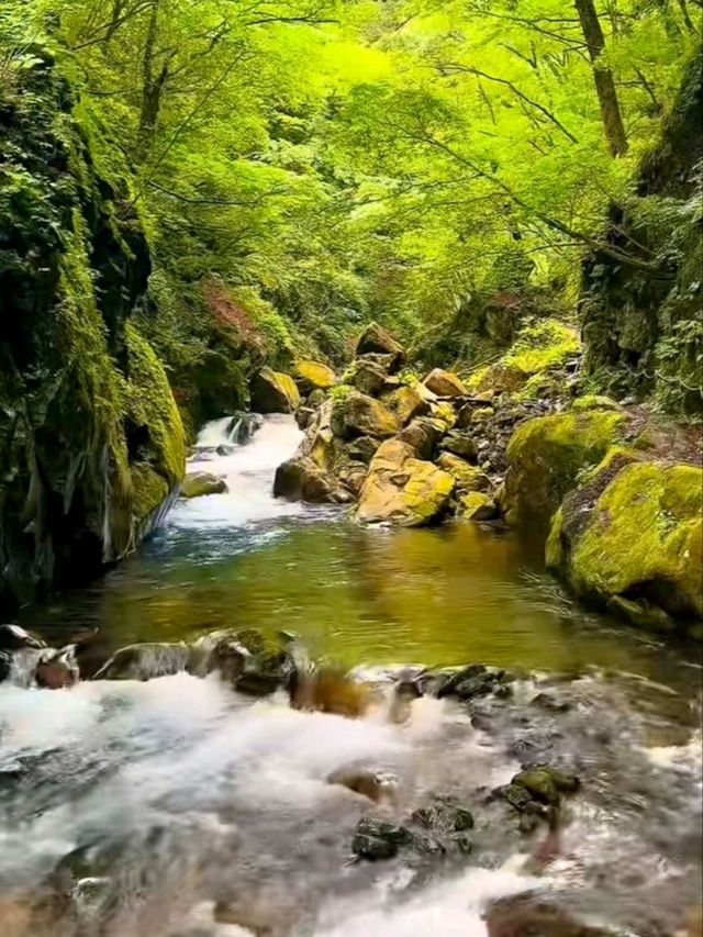 Nishizawa Gorge สวรรค์ของนักเดินป่า