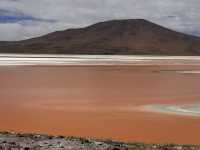 【Laguna Colorada（赤い湖）｜ボリビア・ウユニ高原の赤レンガ色絶景】