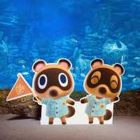 SEALIFE Busan Aquarium: An Immersive Underwater Adventure