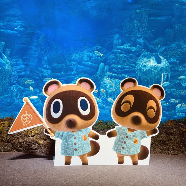 SEALIFE Busan Aquarium: An Immersive Underwater Adventure