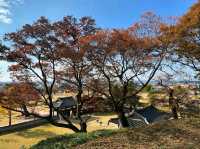 A Peaceful Step Back in Time at Haemi-eup Wall