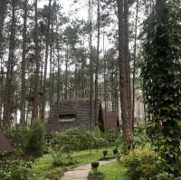 🌲Doi Bo Luang FIO – ที่พักกลางสวนป่าสน ในเชียงใหม่